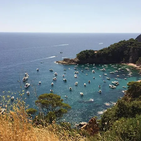 Apartamento 1 Bedroom Beautiful In